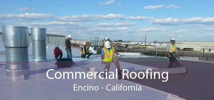 Commercial Roofing Encino - California