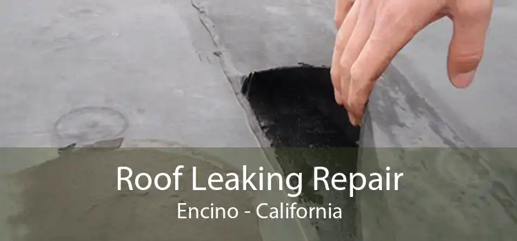 Roof Leaking Repair Encino - California