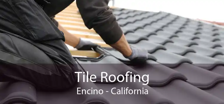 Tile Roofing Encino - California