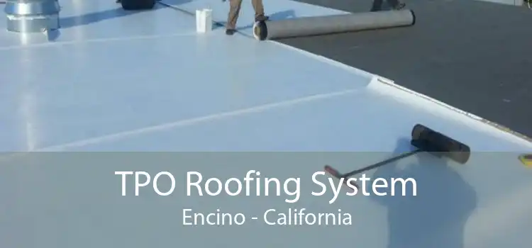 TPO Roofing System Encino - California