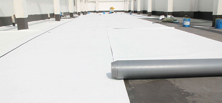 Thermoplastic Polyolefin Roofing Encino